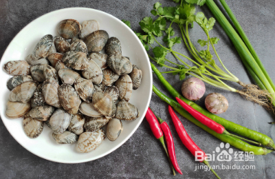 酸辣鲜美的捞汁花甲怎么做？