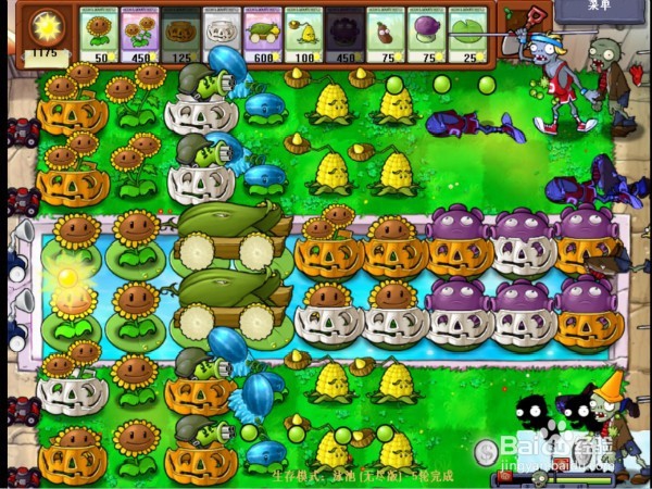 怎样通关植物大战僵尸无尽版呢？