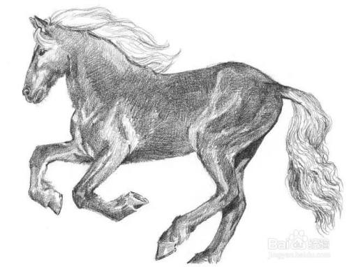 素描绘画图简单教程