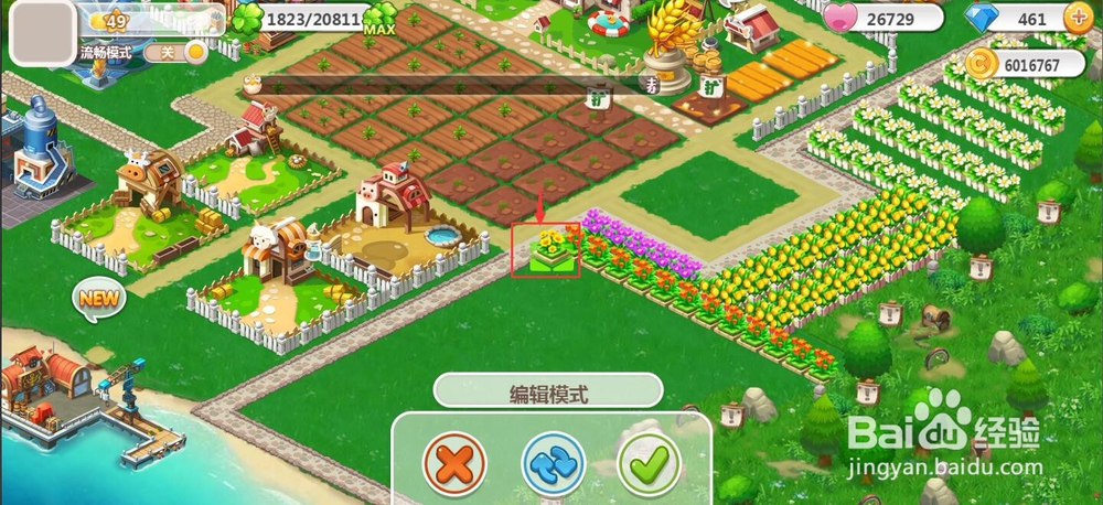 怎样购买植物向日葵？