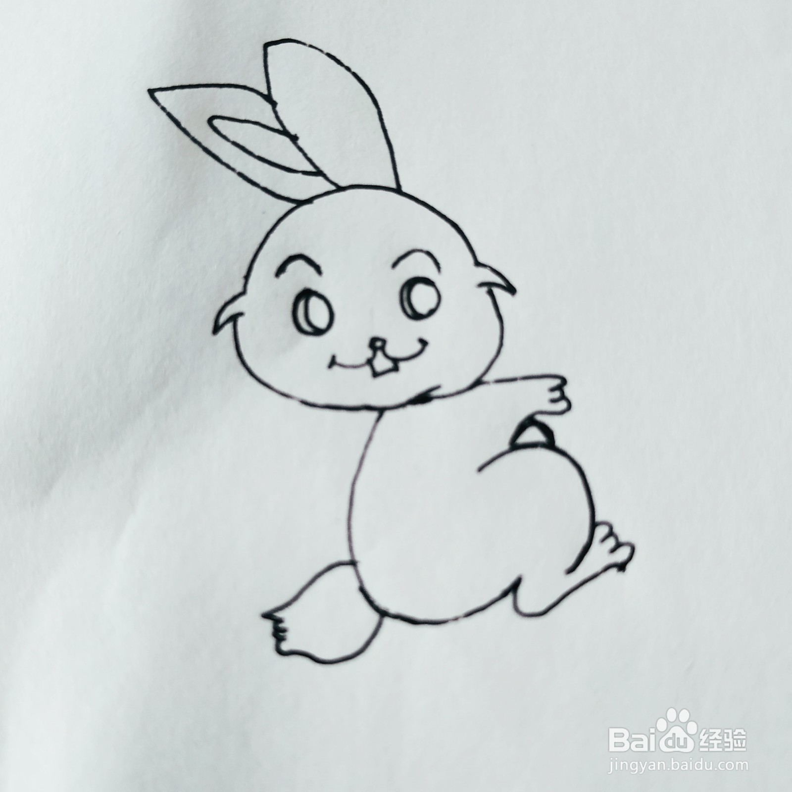如何画一只抱着胡萝卜的短尾巴兔子简笔画呢?