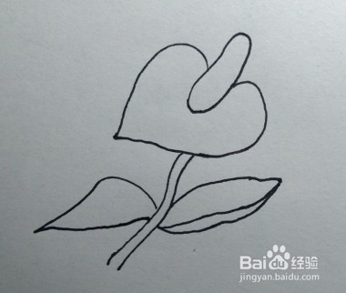 简笔画：花卉画法教程