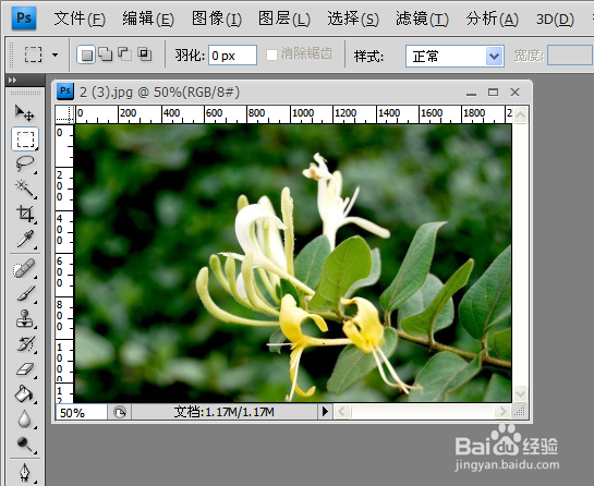 【超级简单】怎么利用PS抠图