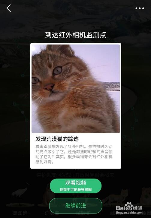 蚂蚁森林里的小动物如何获得