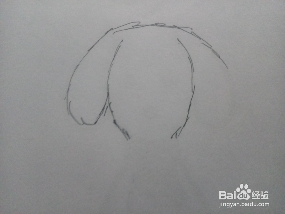小狗绘制教程 简笔画小狗