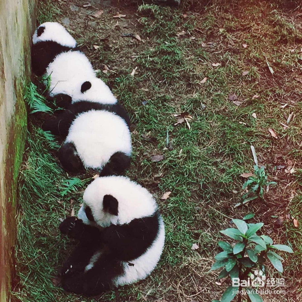 外国关注中国旅游城市指南