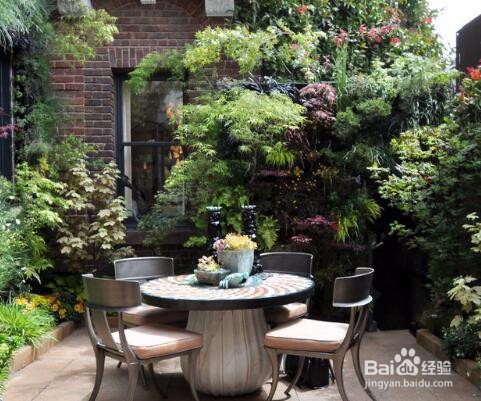 院子新垫的土怎么处理