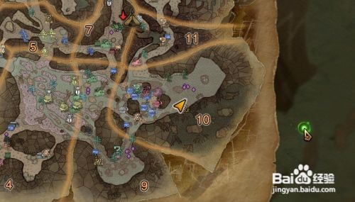 怪物猎人世界咬鱼在哪