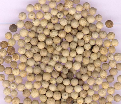 2011年春节护胃三大绝招来帮你