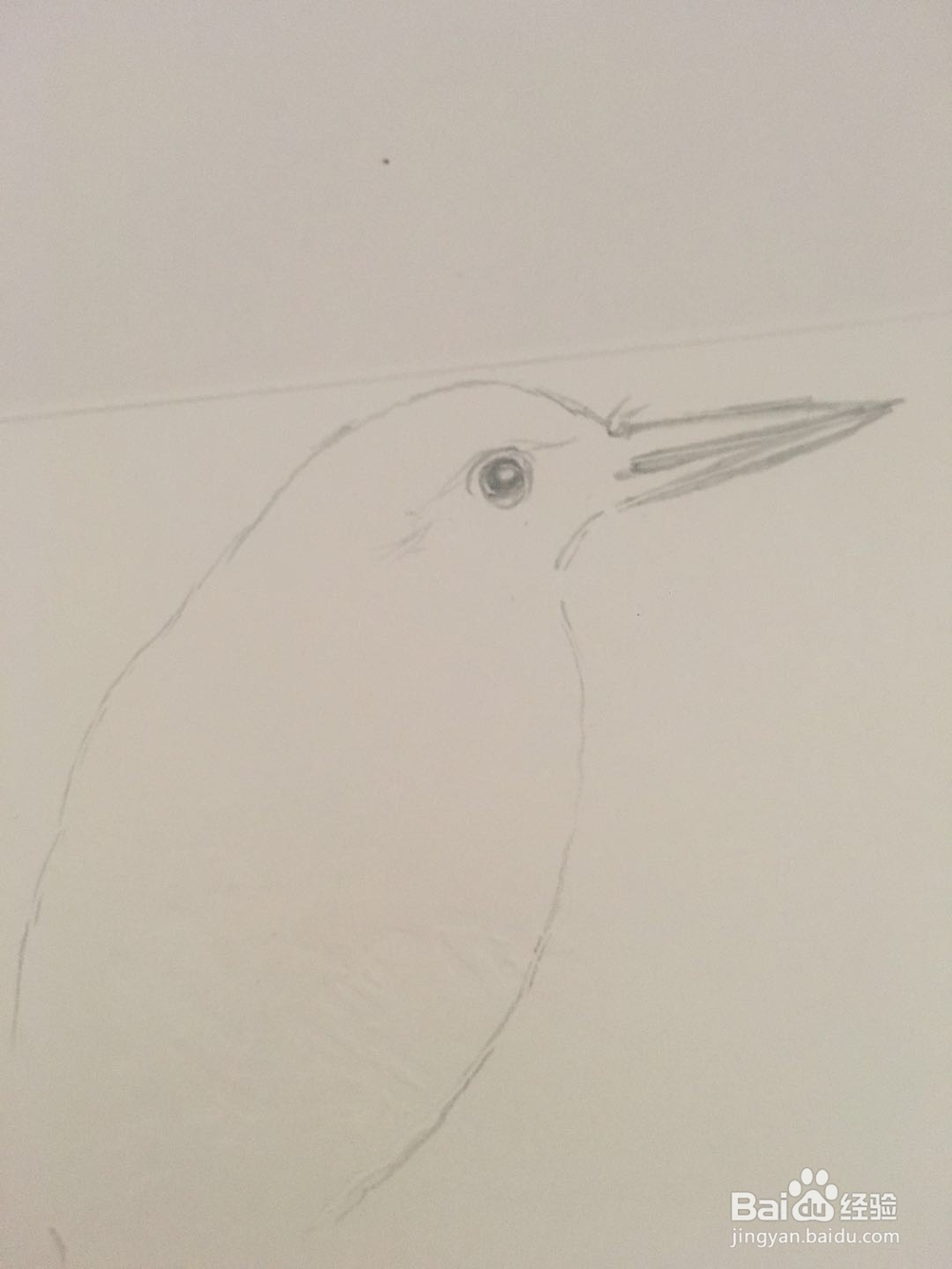 怎样画一只翠鸟的彩铅画呢