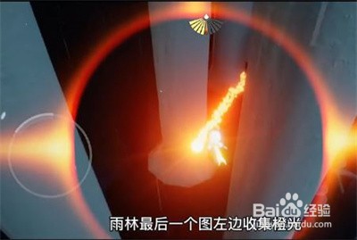12.7光遇日常任务攻略