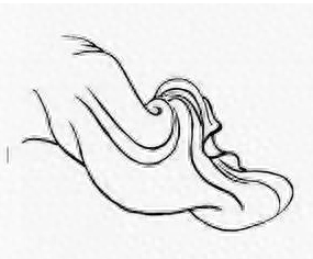 工笔十八描示范图解