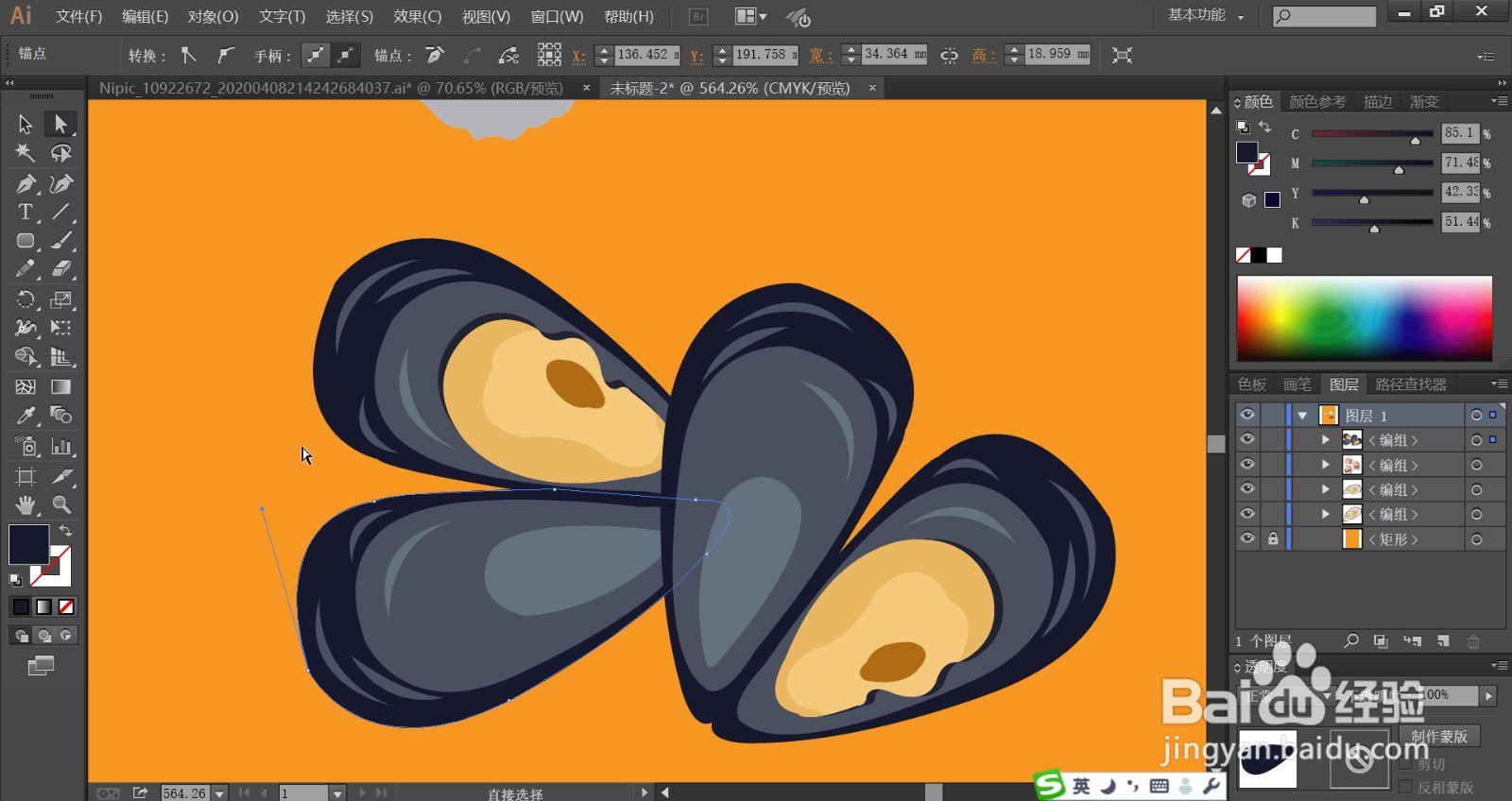 贝类海鲜图片设计