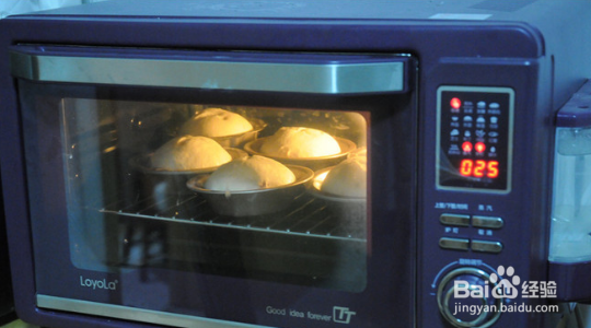 莜面蔓越莓软欧