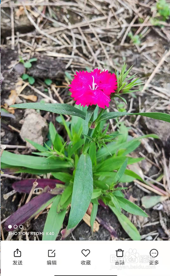 小米手机把照片设置为屏息壁纸？