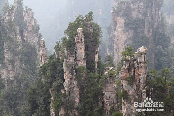 张家界客栈攻略