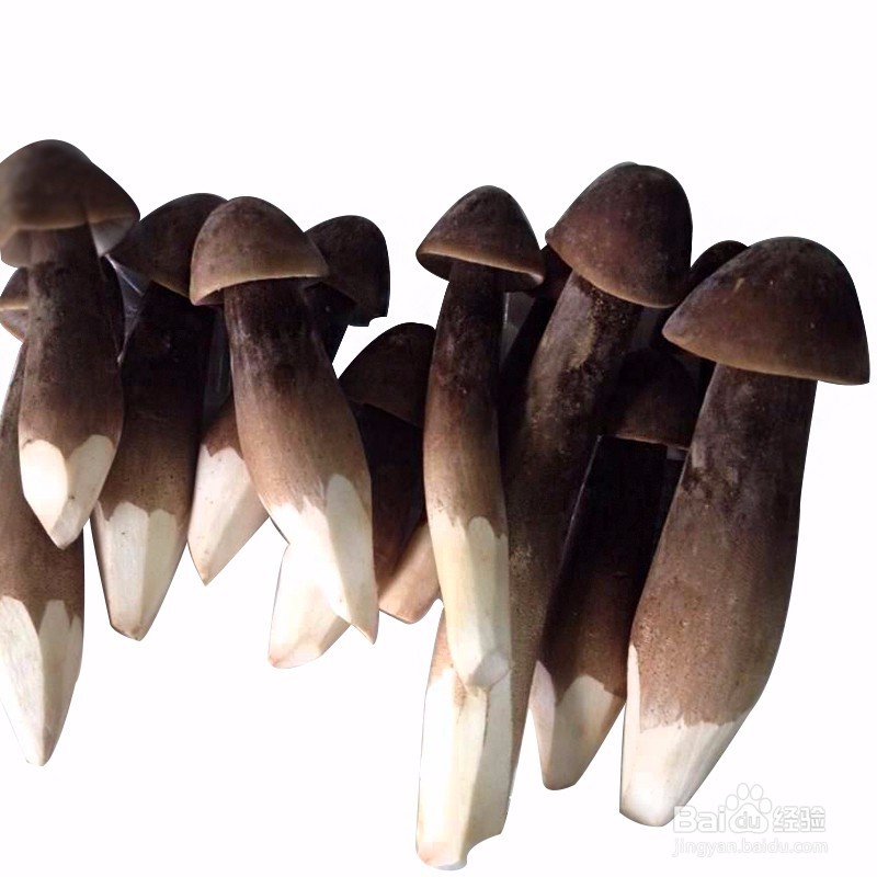 黑皮鸡枞菌的做法