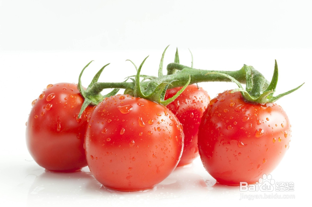 夏天吃什么菜好