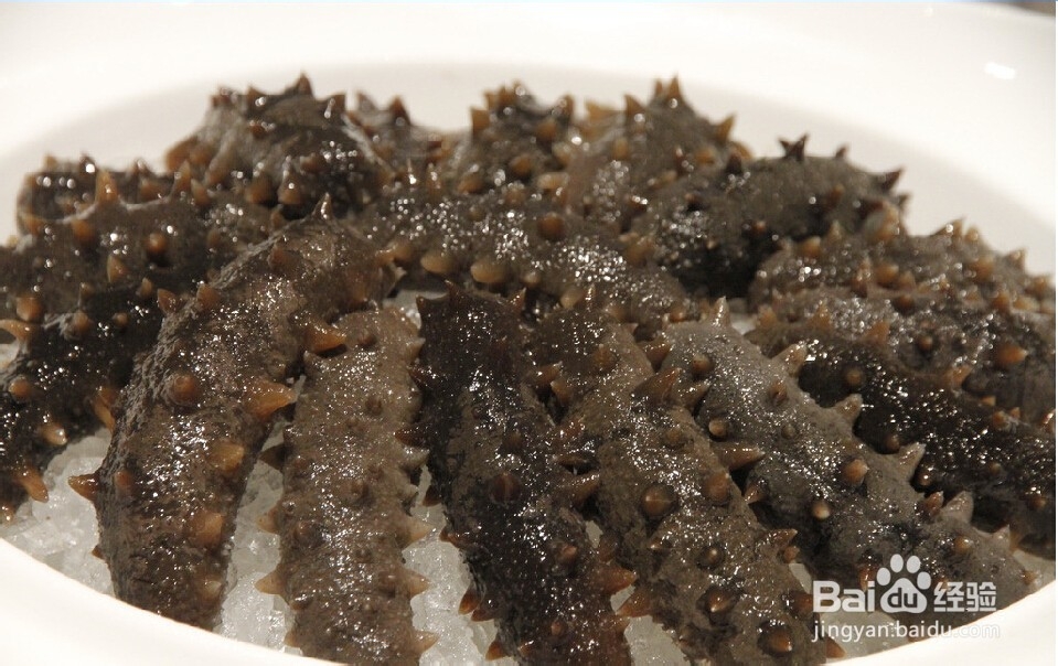 夏季吃海参的好处