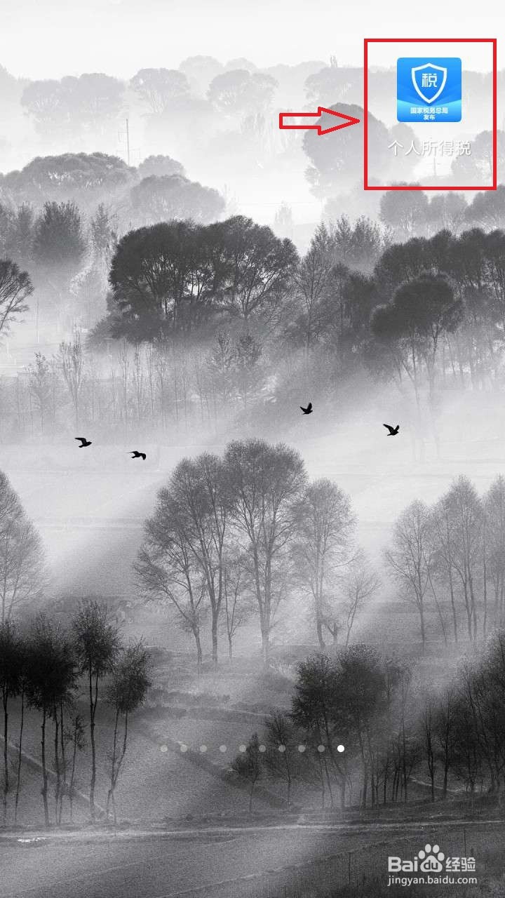 如何查询个人年度收入