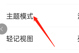 轻记APP如何设置主题模式