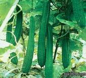 去除青春痘的小秘诀