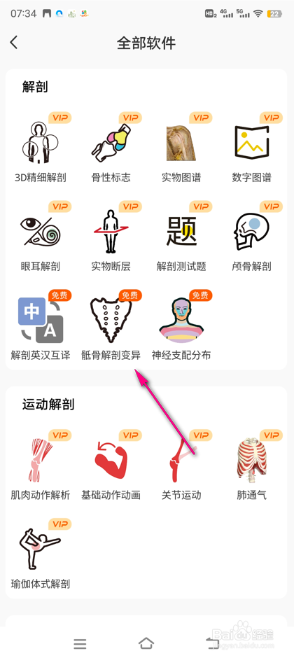 怎么查看3Dbody骶骨解刨变异