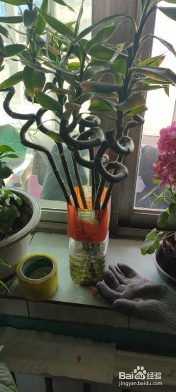 综合素质怎么考到70分