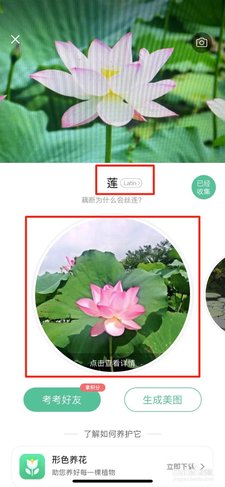 形色怎样识别花