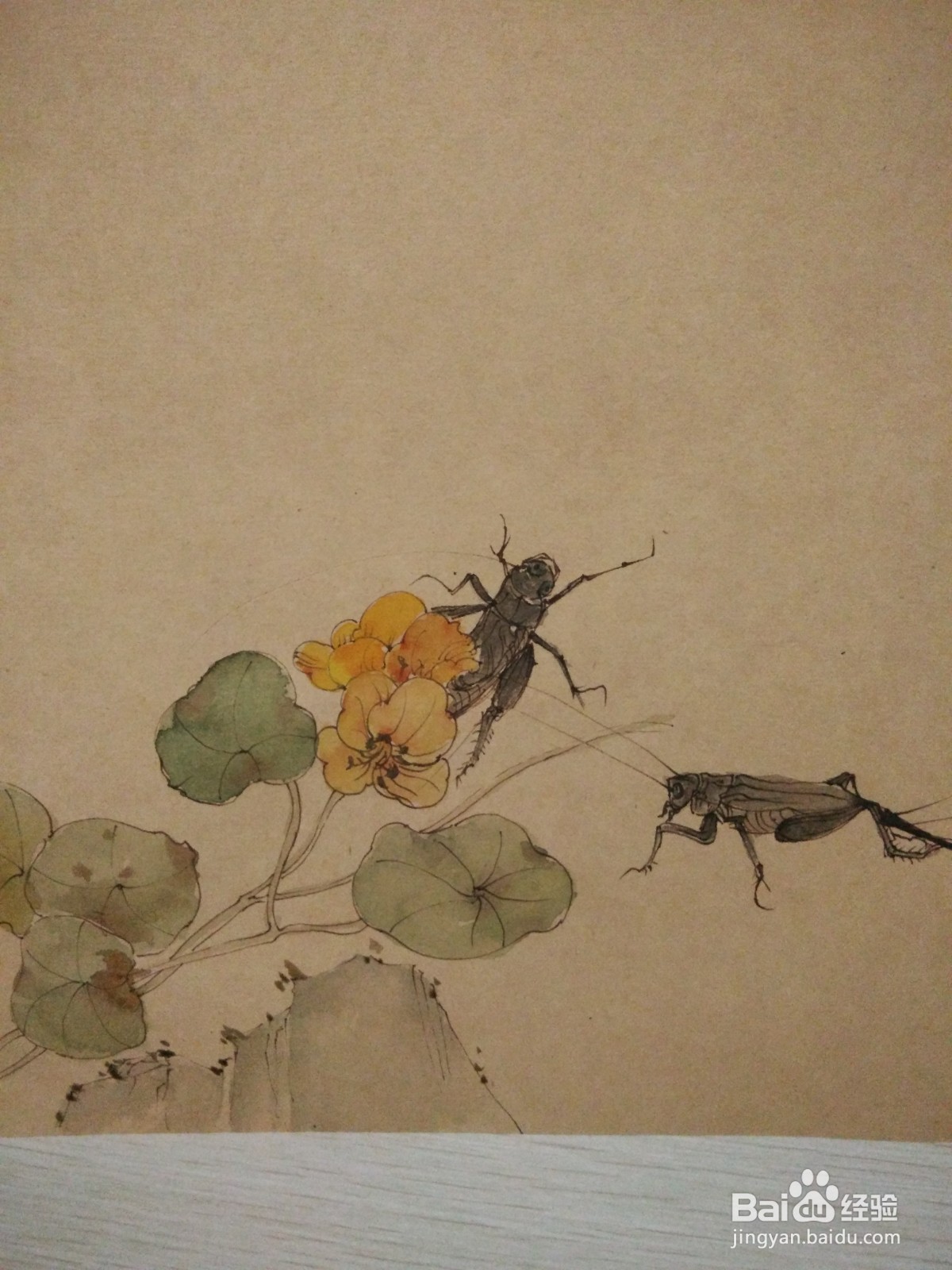 如何用卡纸画蟋蟀