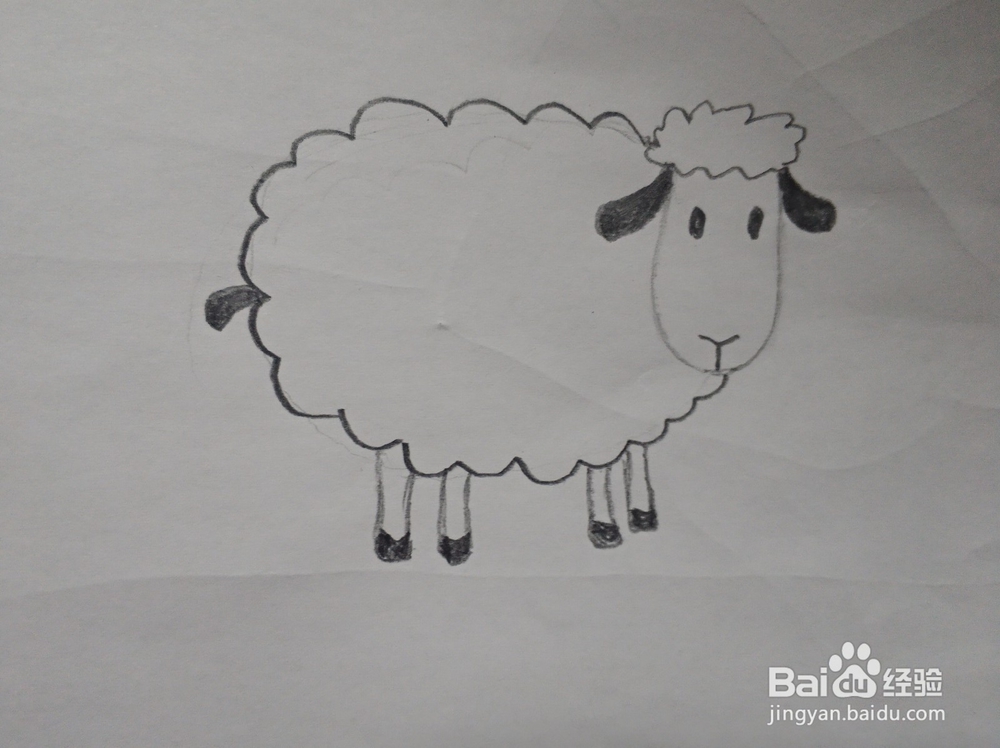小羊的简笔画怎么画