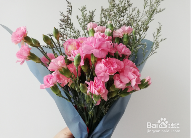 怎样制作漂亮的康乃馨花束