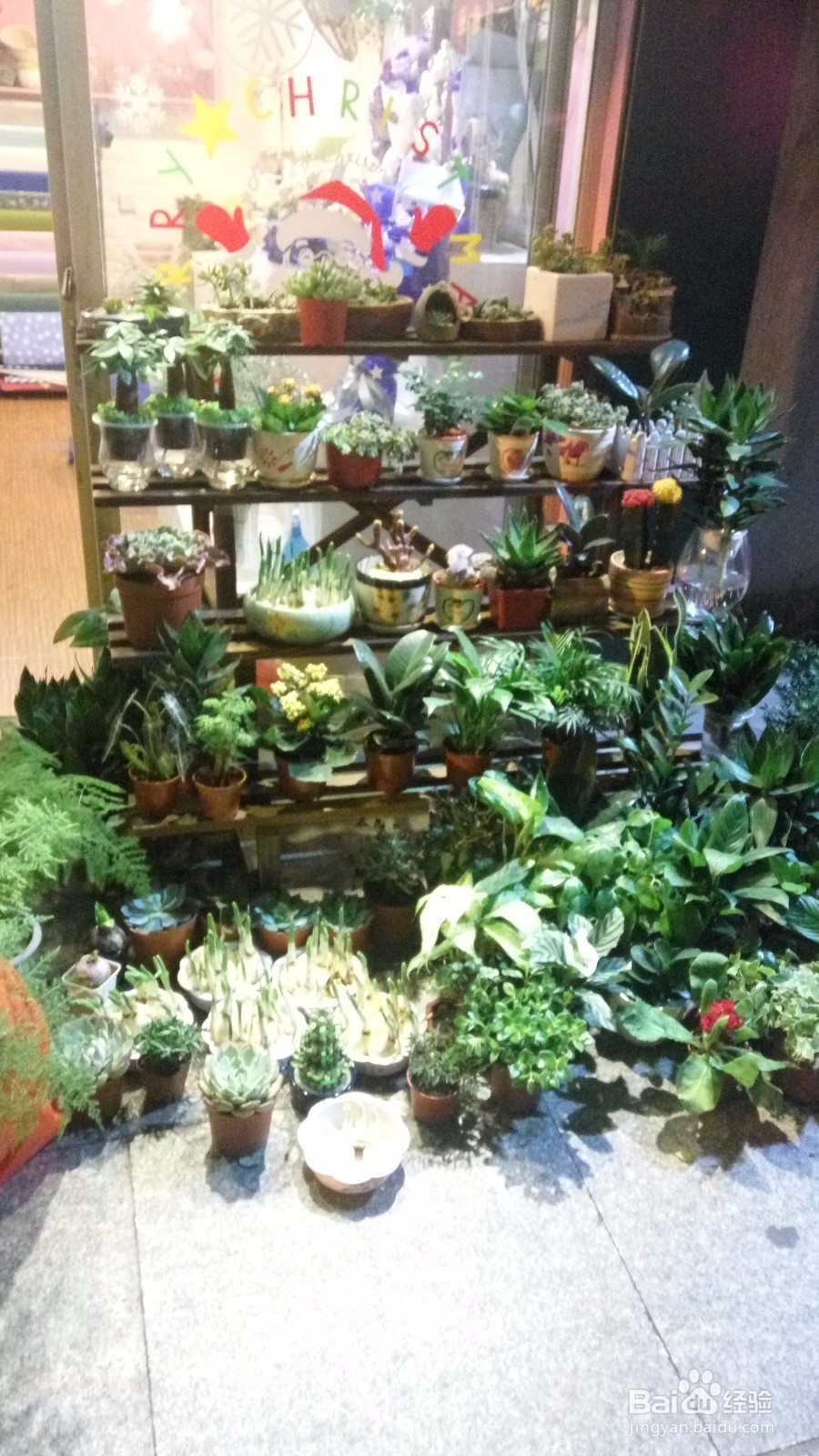 养花的小技巧