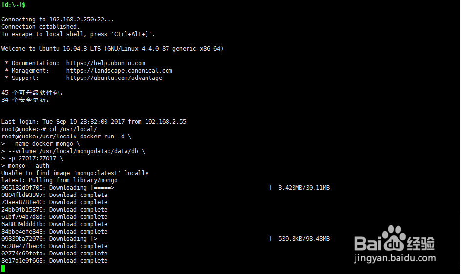 Ubuntu docker 安装mongoDB