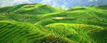 旅游出行小贴士系列之美食桂林，最值得去的地方