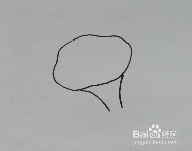 花卉简笔画:如何一步一步画牵牛花