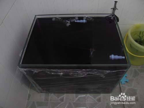 鱼缸出现了螺怎么办