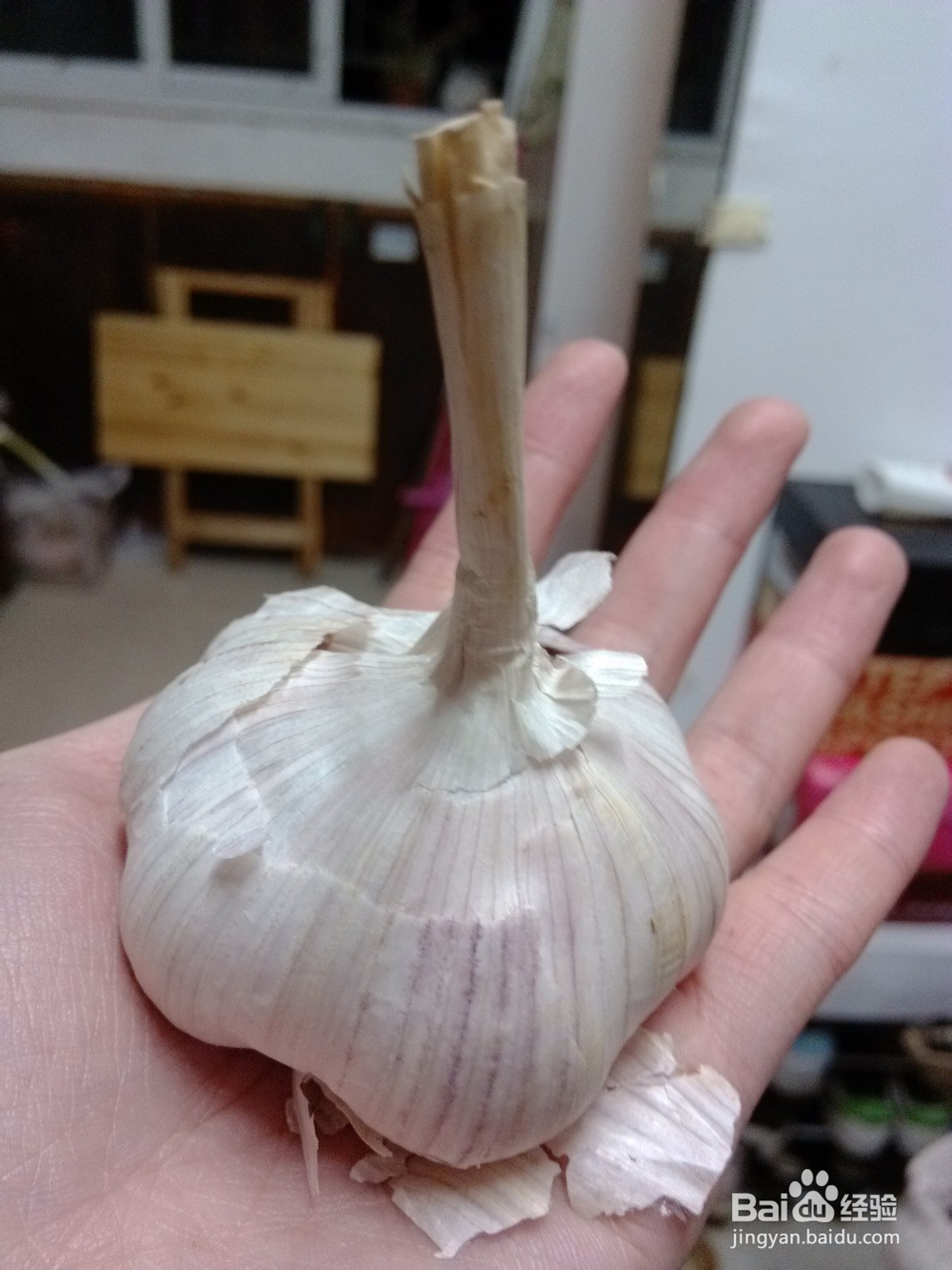 废物利用之废旧花盆移植