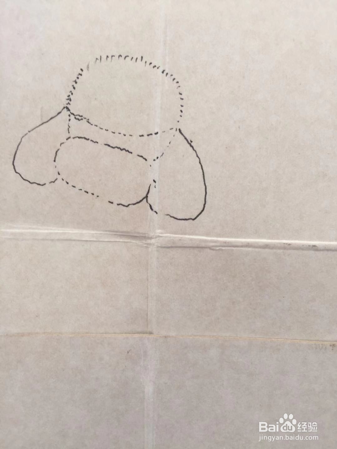 彩铅画教程之萌宠泰迪犬