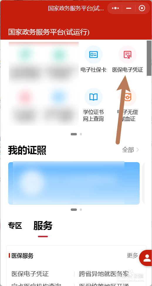 如何查医保缴费明细
