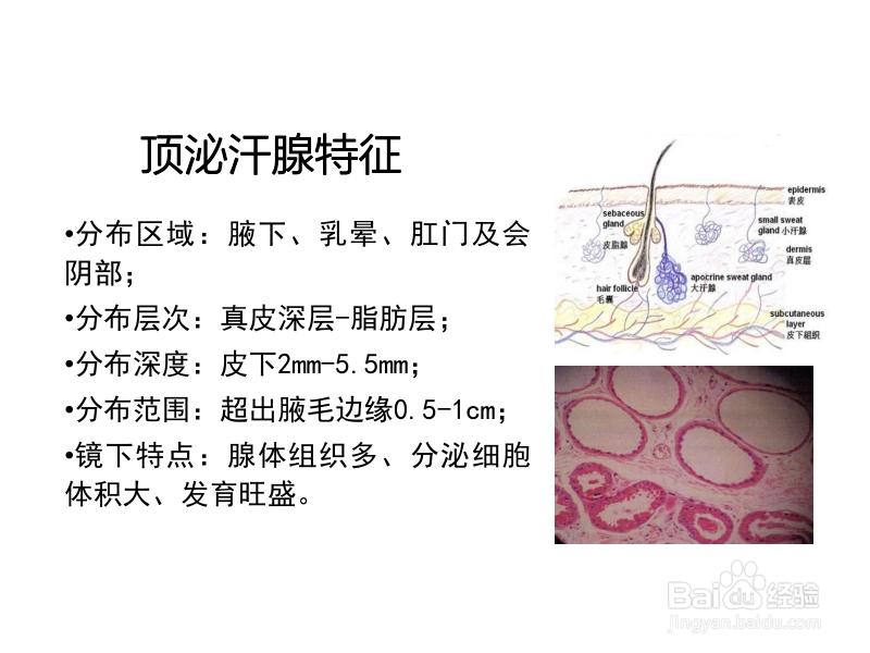 女生体香是怎么产生的