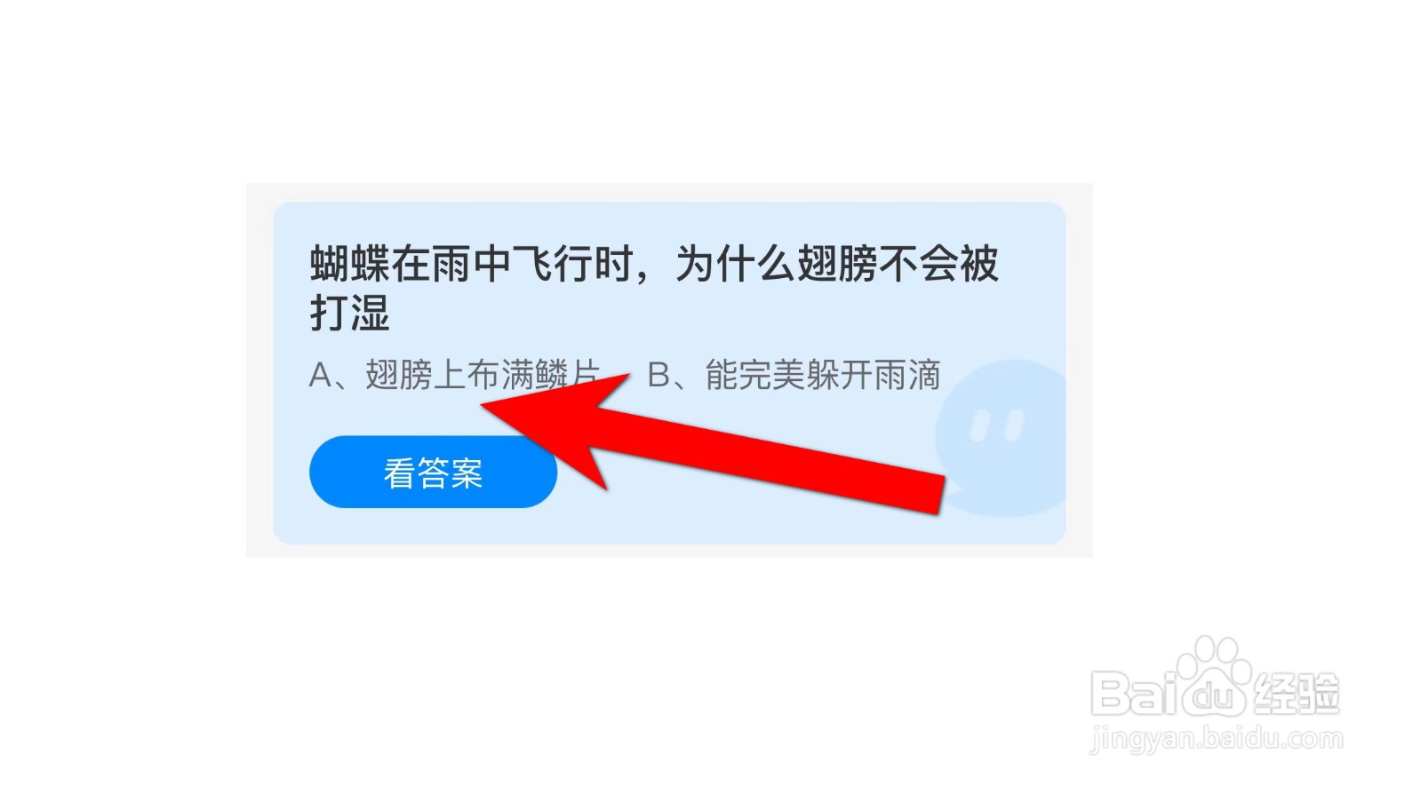 蝴蝶雨中飞行为什么翅膀不会打湿蚂蚁庄园答案
