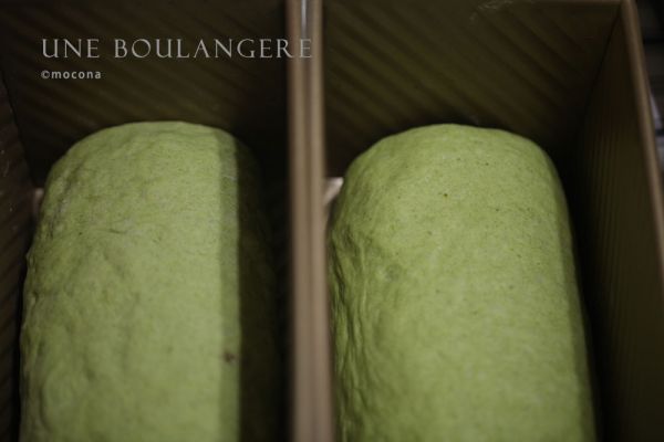 冷暖自安 霜桑吐司