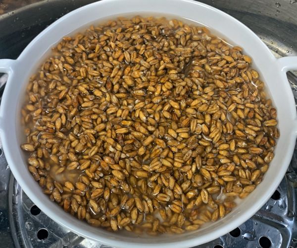 牛油果南瓜烤鸡胸斯佩尔特沙拉