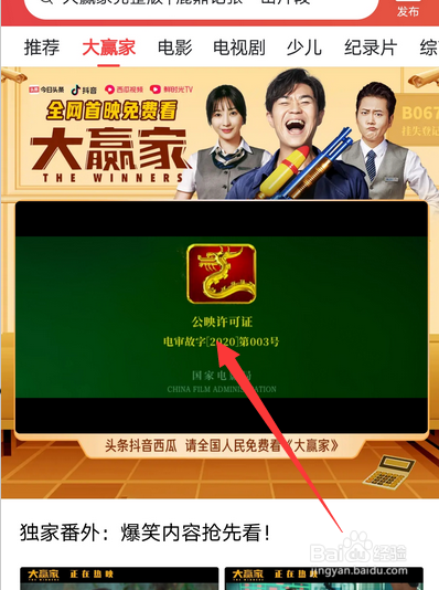 怎么观看大赢家电影