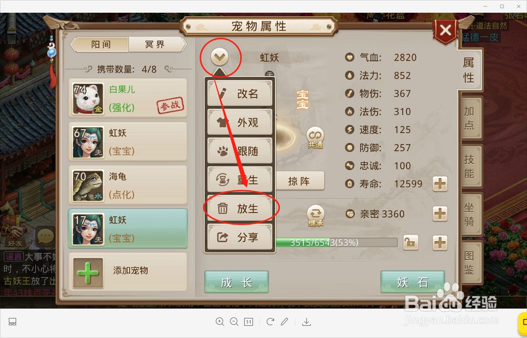 问道手游宠物宝宝太多怎么办格子不够哪里可存放