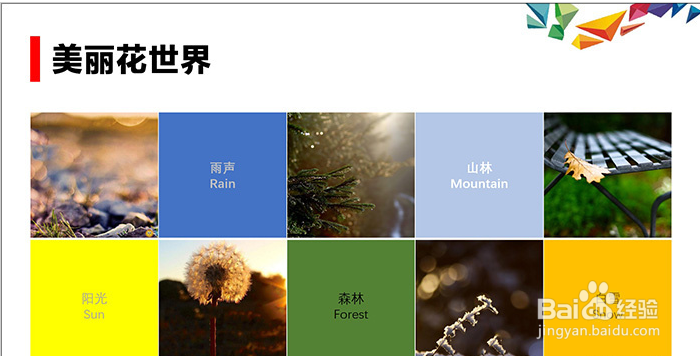 如何正确处理PPT的表格