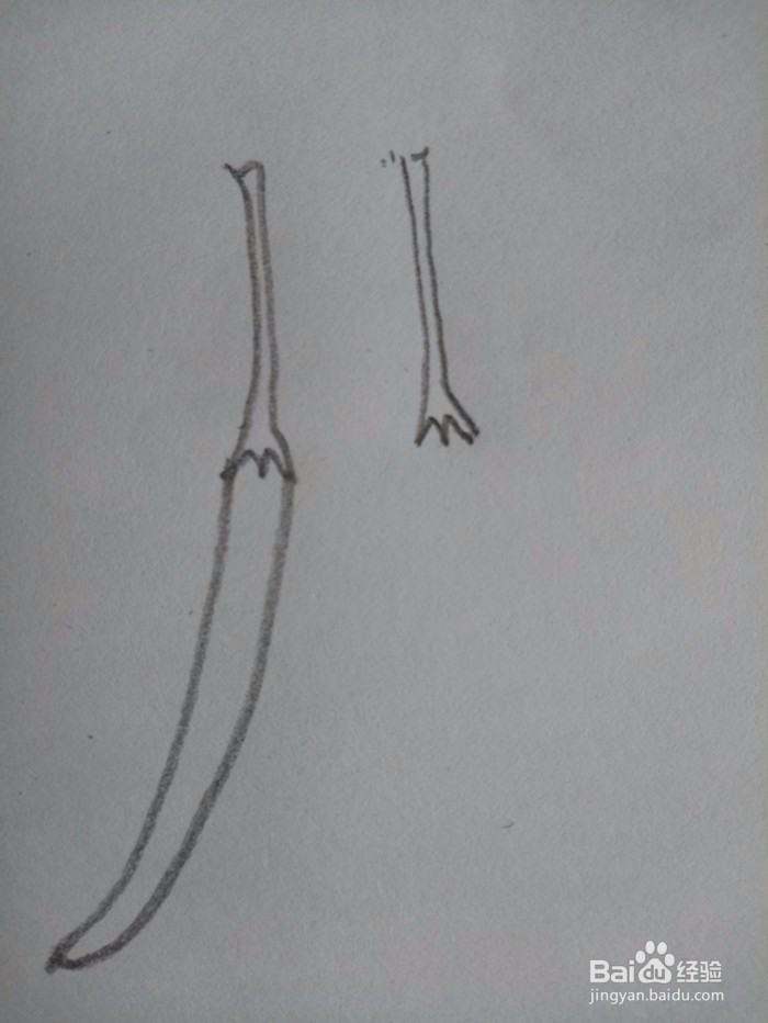 红辣椒的简笔画