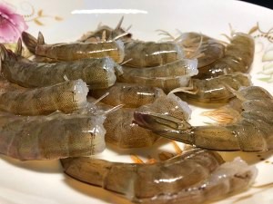 食补养生金针菇蒸虾