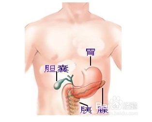 胰腺癌早期能治愈吗使用哪种方法治疗